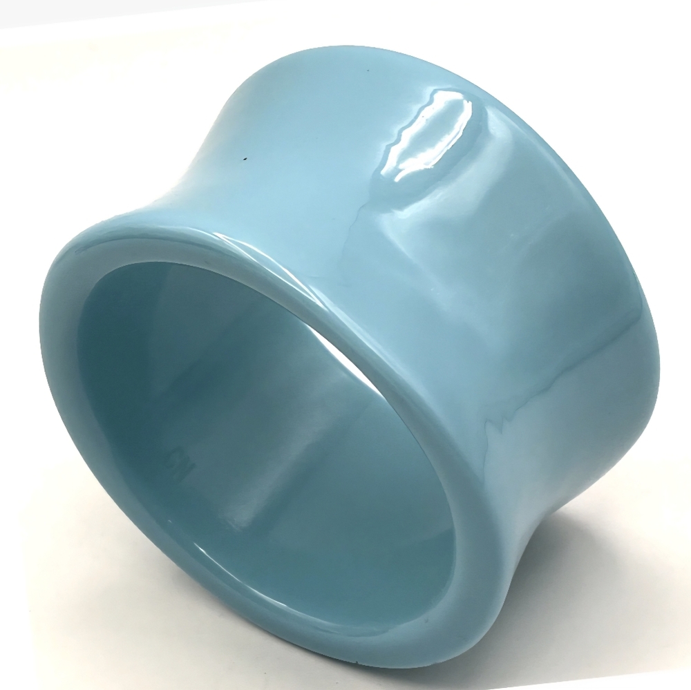 RARA AVIS From IRIS APFEL Collection Resin Bangle Robin Egg Blue 2"W 8"In. Circ.